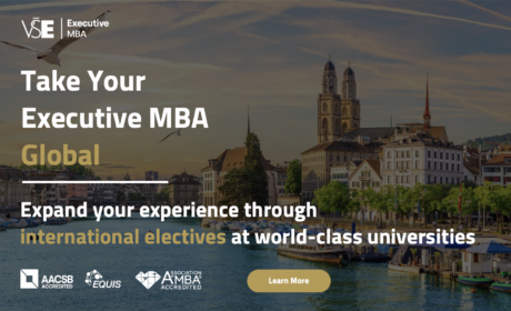 Take Your Executive MBA Global